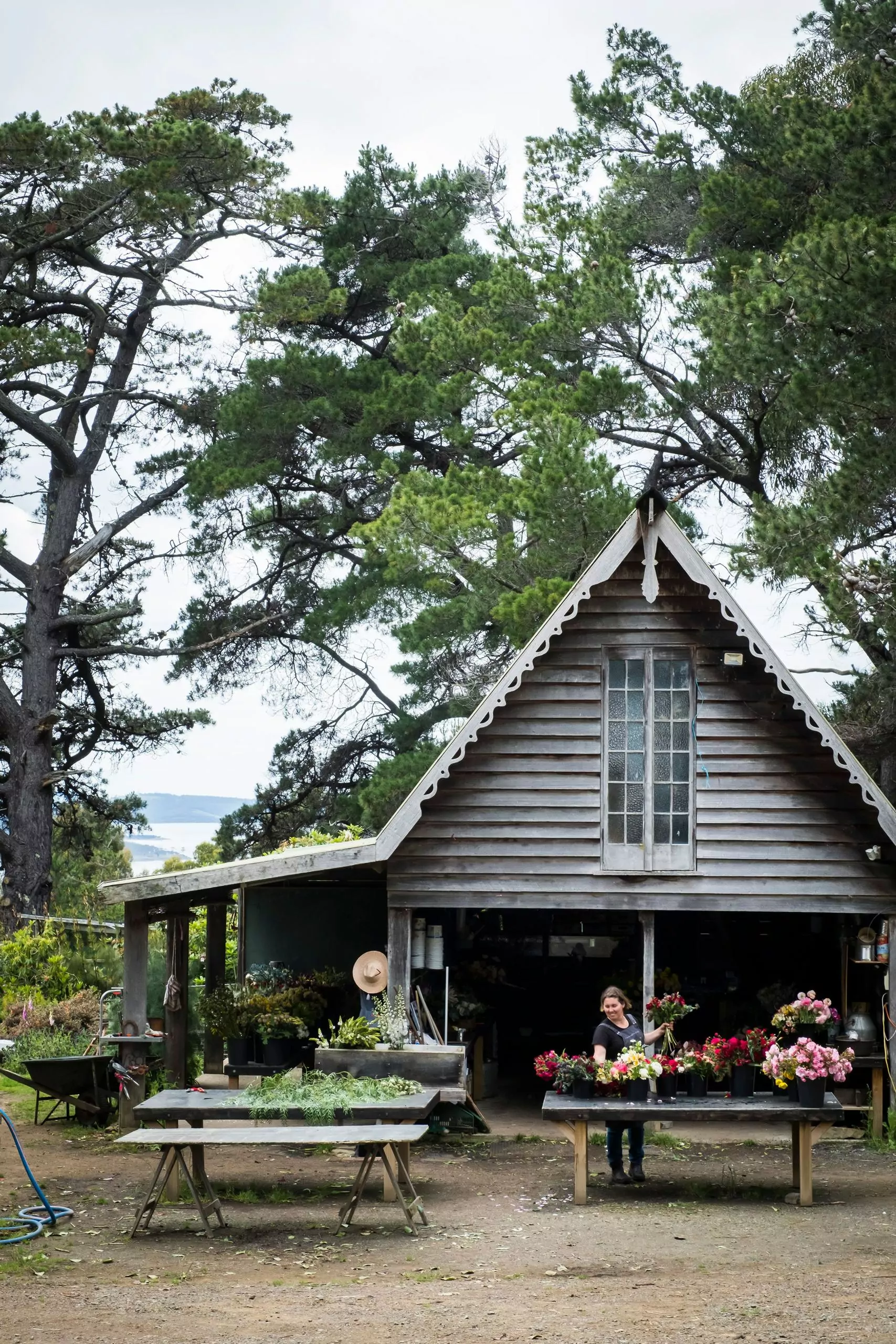 AUTUMN flower workshop at our flower farm 2026