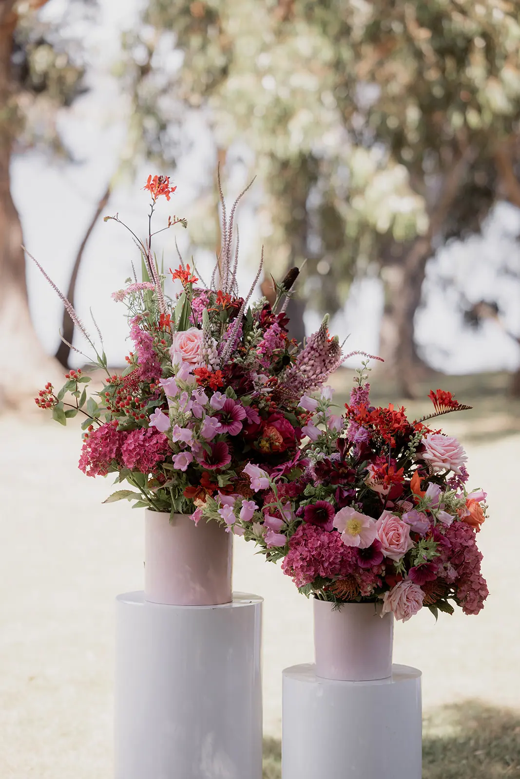 Wedding + Elopement special - Image 16