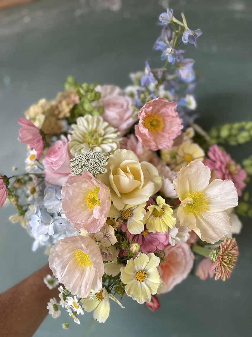 Elopement special - Image 7