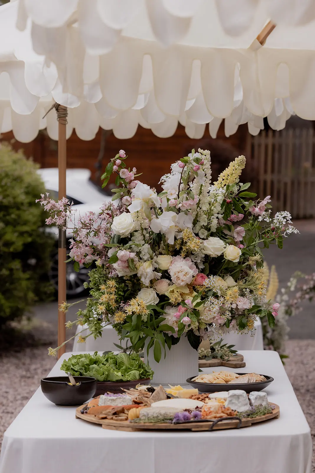 Wedding + Elopement special - Image 17