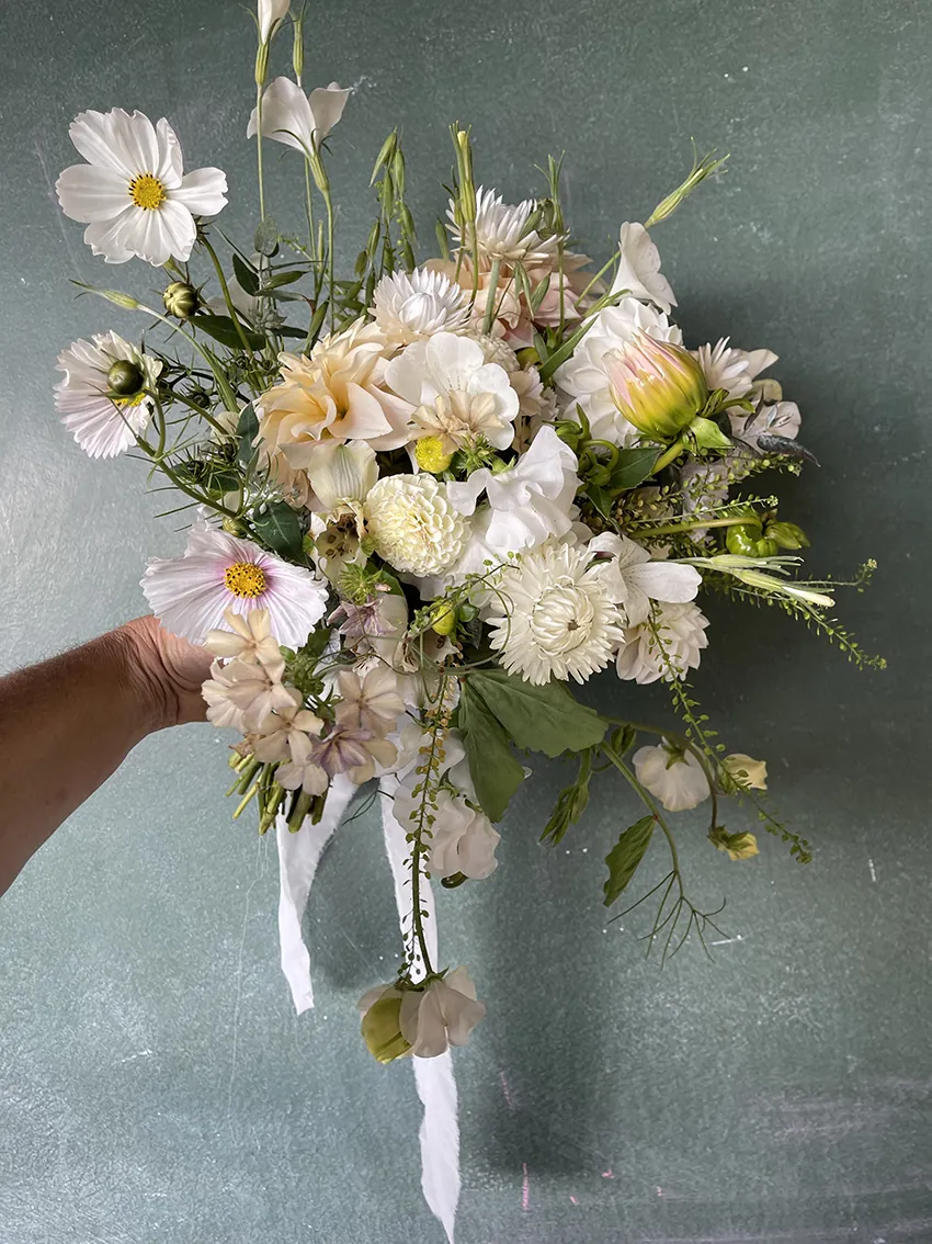 Elopement special - Image 6