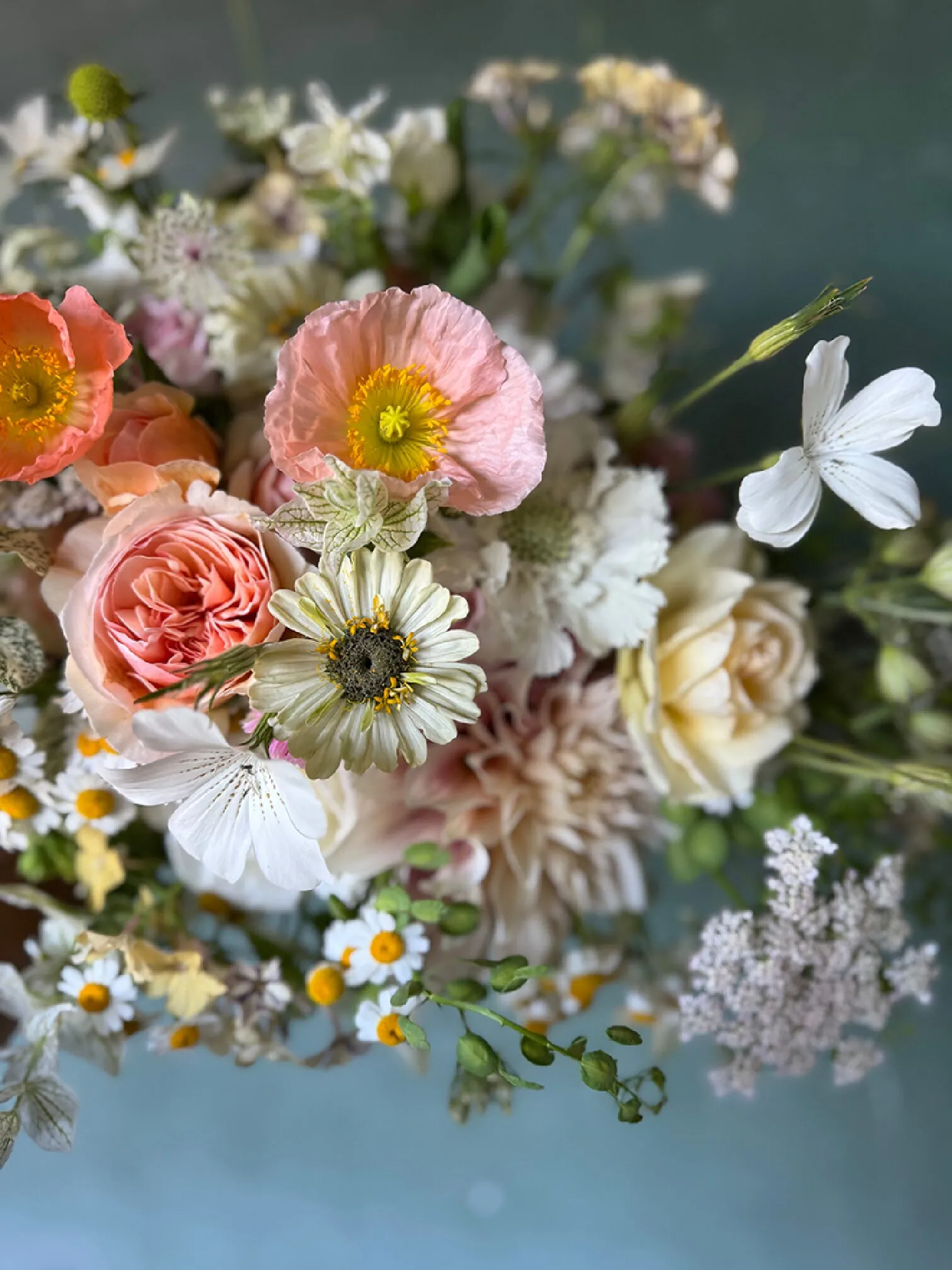 Elopement special - Image 5