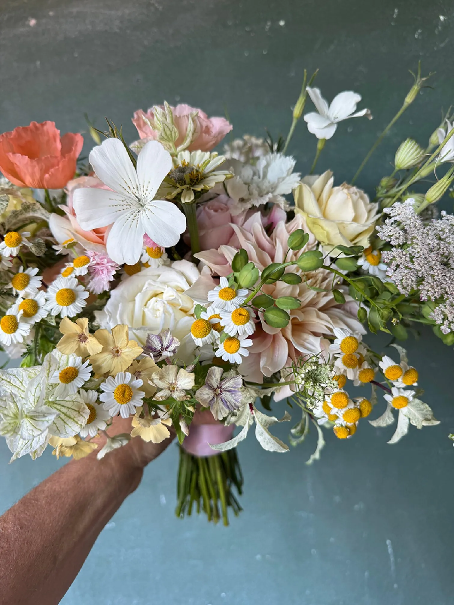 Elopement special - Image 2