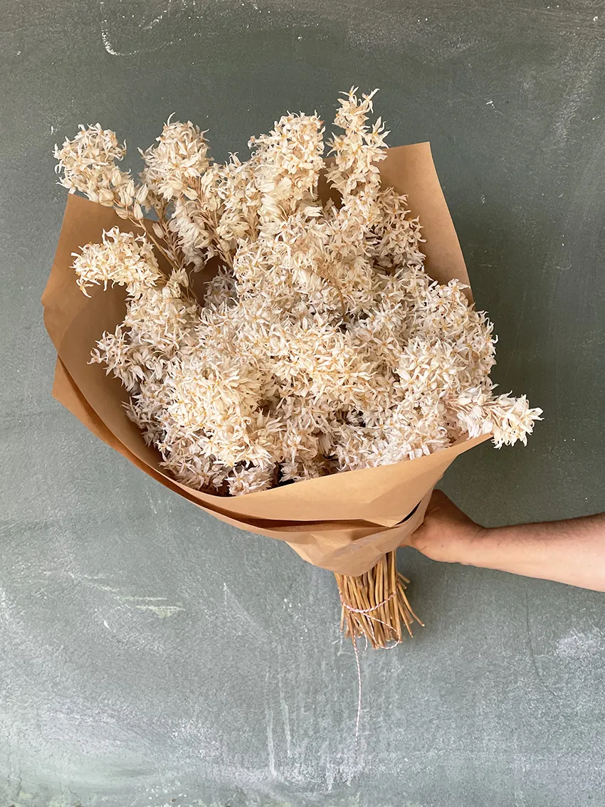 Dried (white) flower bundle