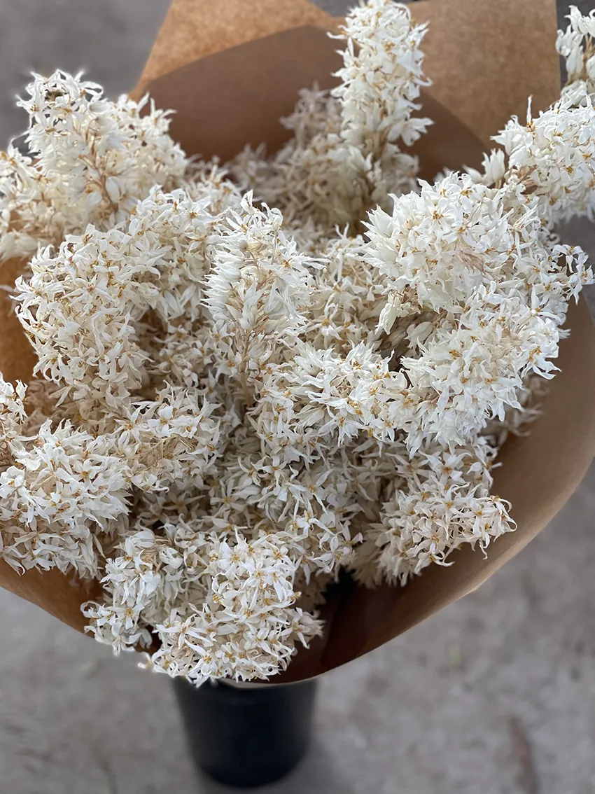 Dried (white) flower bundle - Image 2