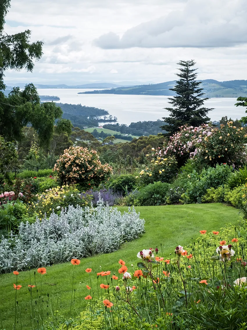 Peony workshop + high tea at our farm Spring 2026 - Image 6