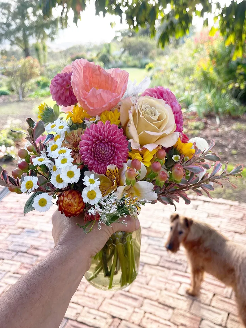 Mother's Day Offerings 2026 - Image 2