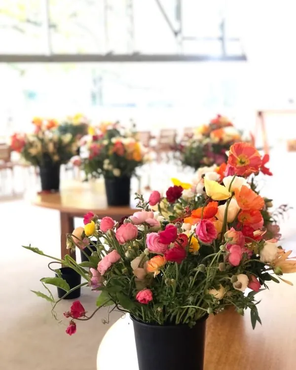 Mother's Day Offerings - Image 20