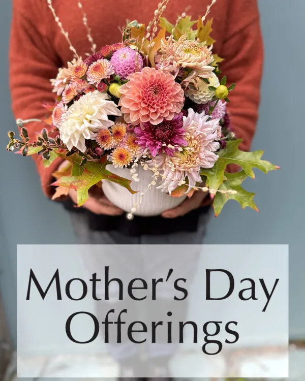 Mother's Day Offerings
