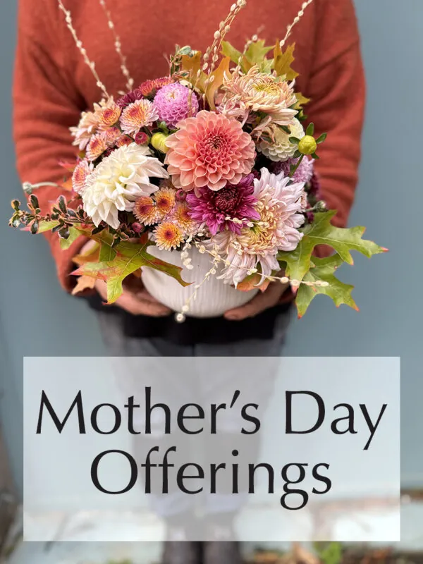 Mother's Day Offerings