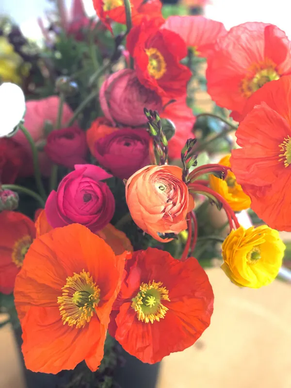 Mother's Day Offerings - Image 21
