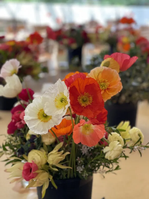 SPRING flower workshop + lunch at Peppermint Bay 2025 - Image 3