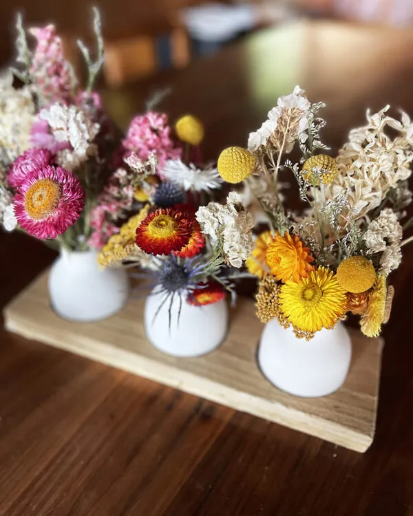 DRIED posies (3x vases)