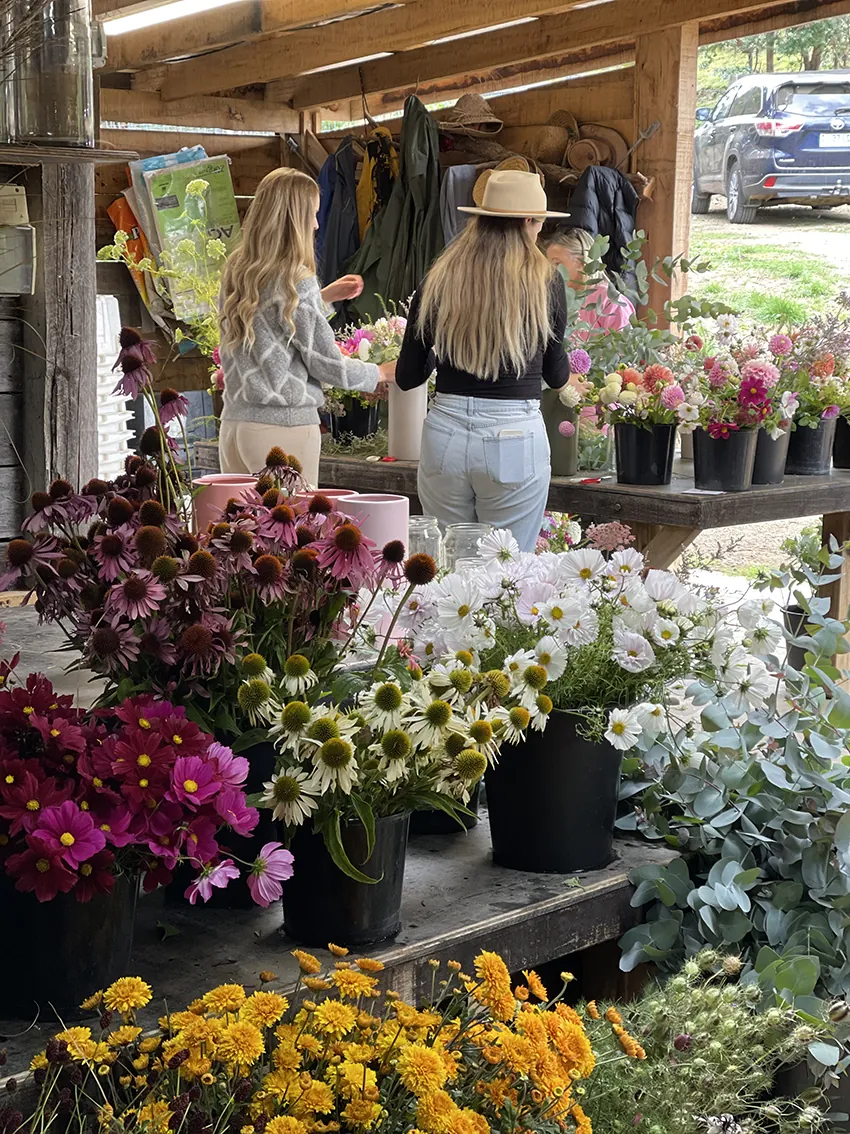 AUTUMN flower workshop at our flower farm 2026 - Image 3