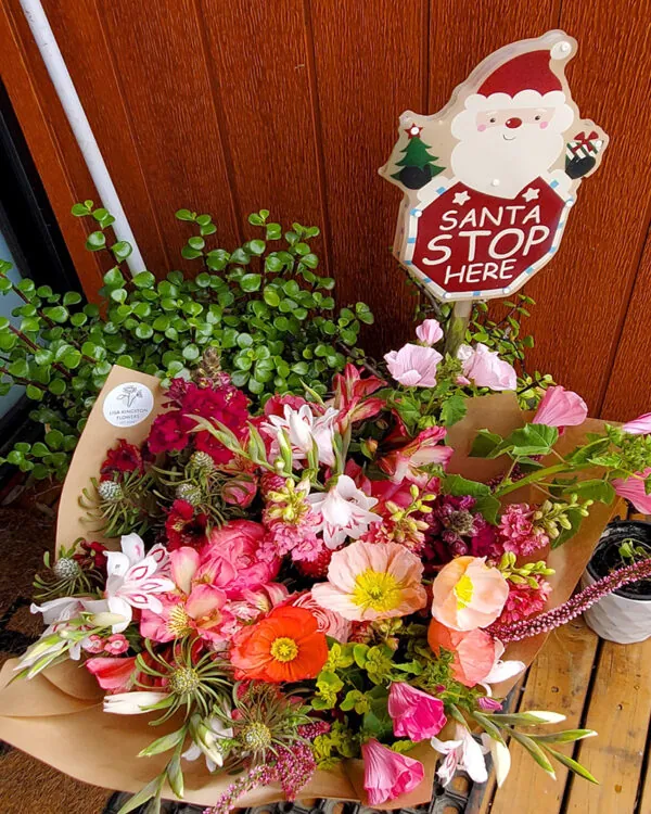 CHRISTMAS+Festive Offerings