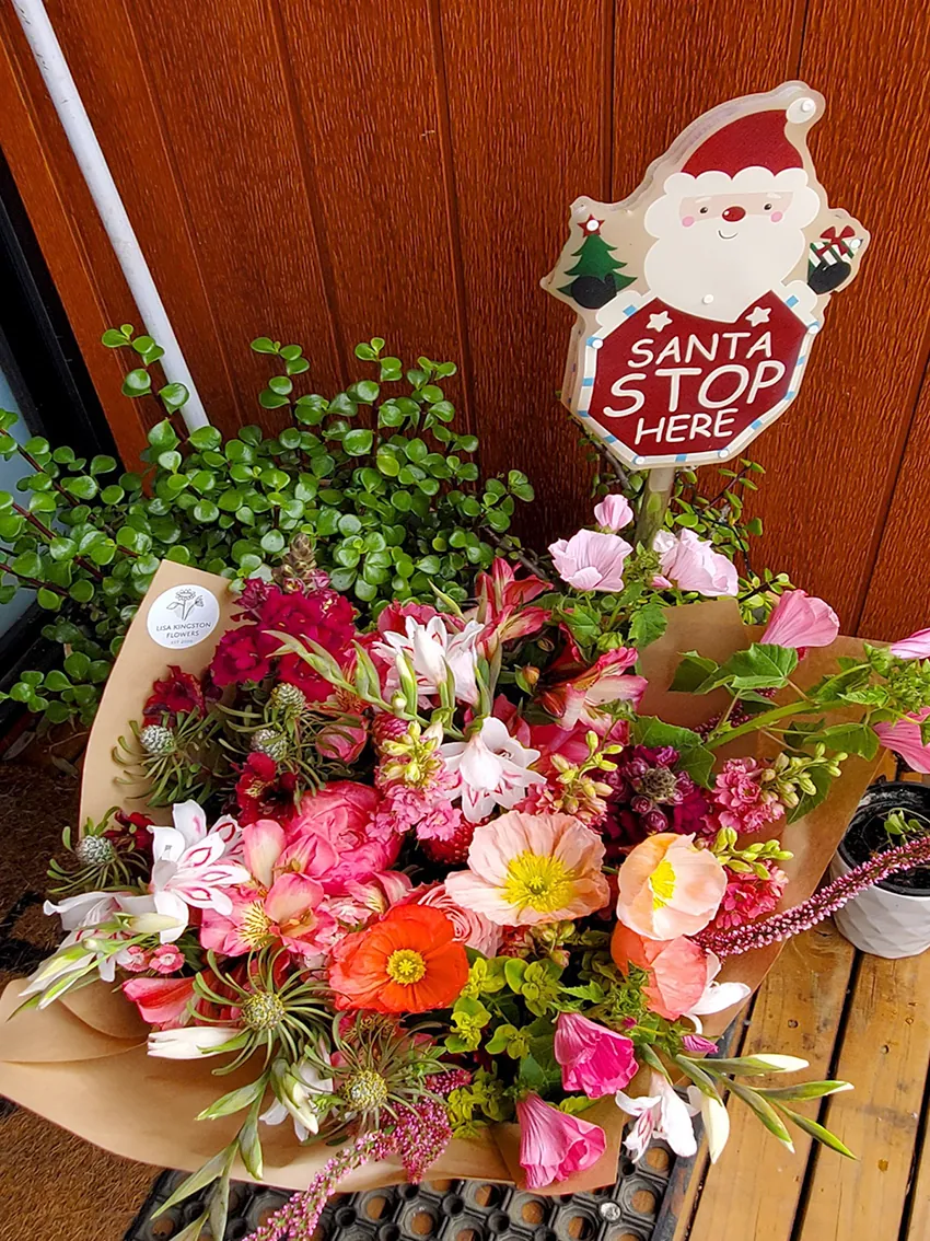 CHRISTMAS+Festive Offerings