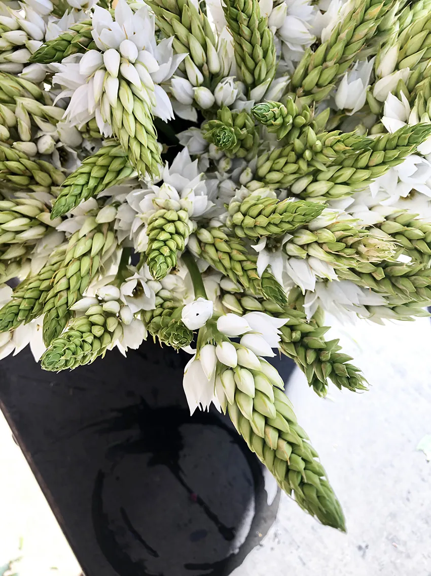 CHRISTMAS+Festive Offerings - Image 8