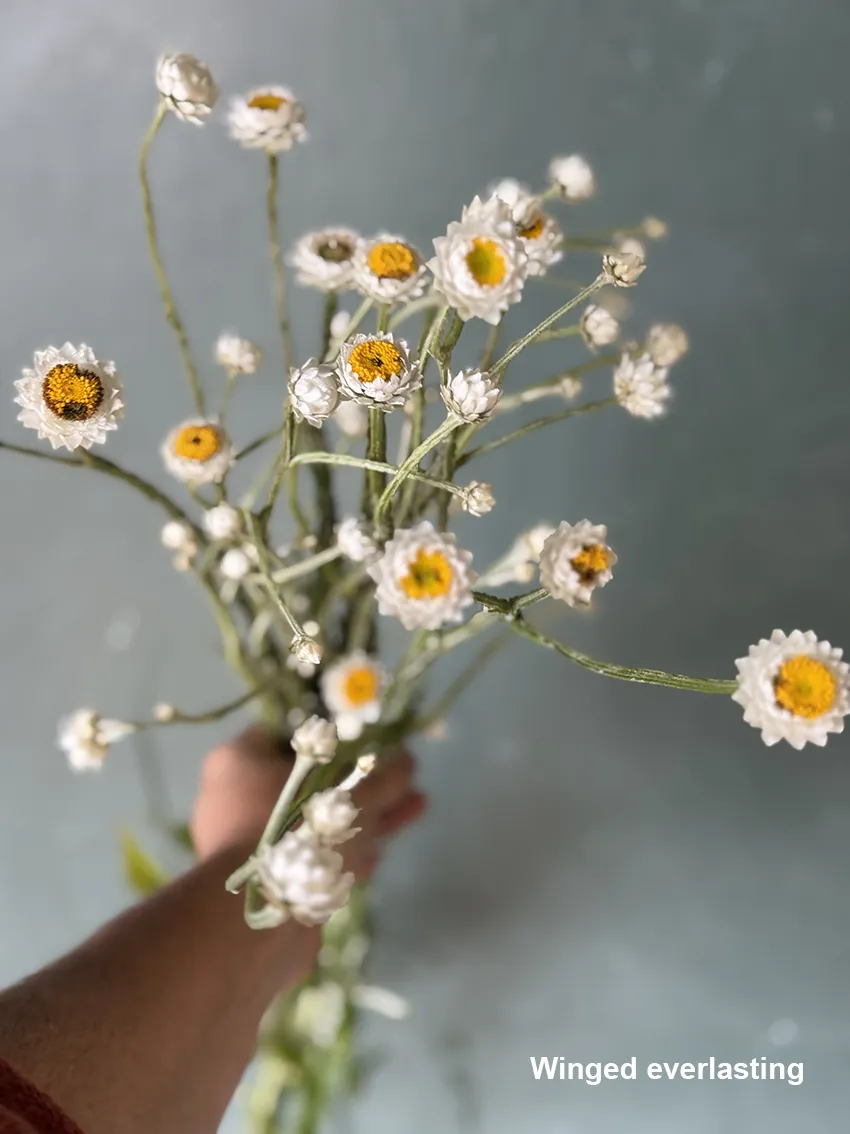 DIY drying bucket - Image 8