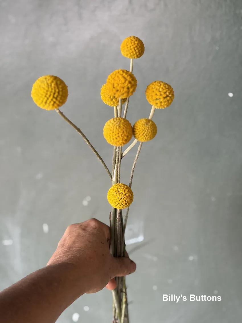 DIY drying bucket - Image 5