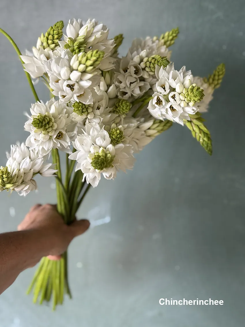 DIY drying bucket - Image 2