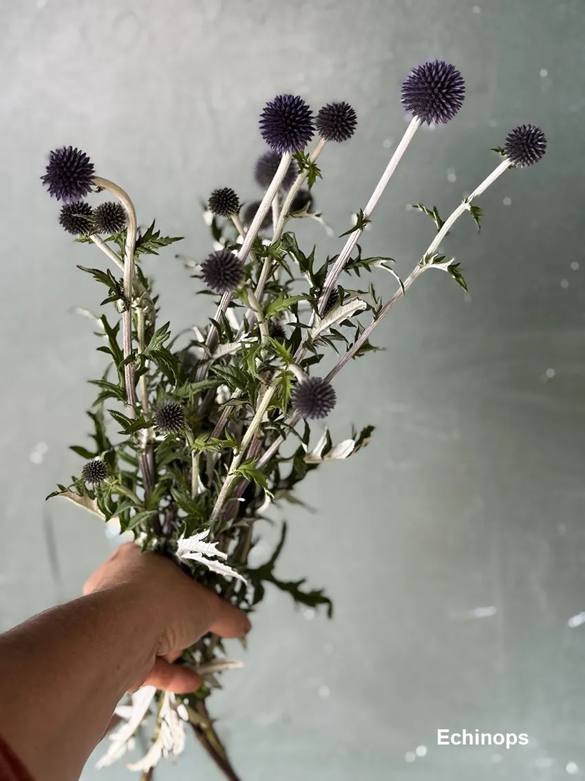 DIY drying bucket - Image 11