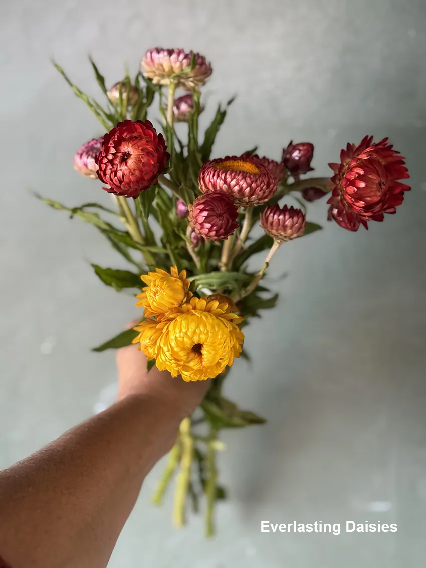 DIY drying bucket - Image 7