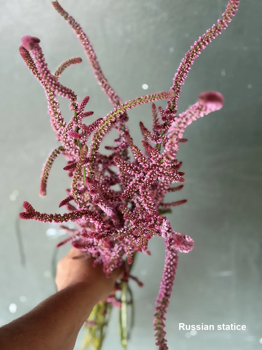 DIY drying bucket - Image 10