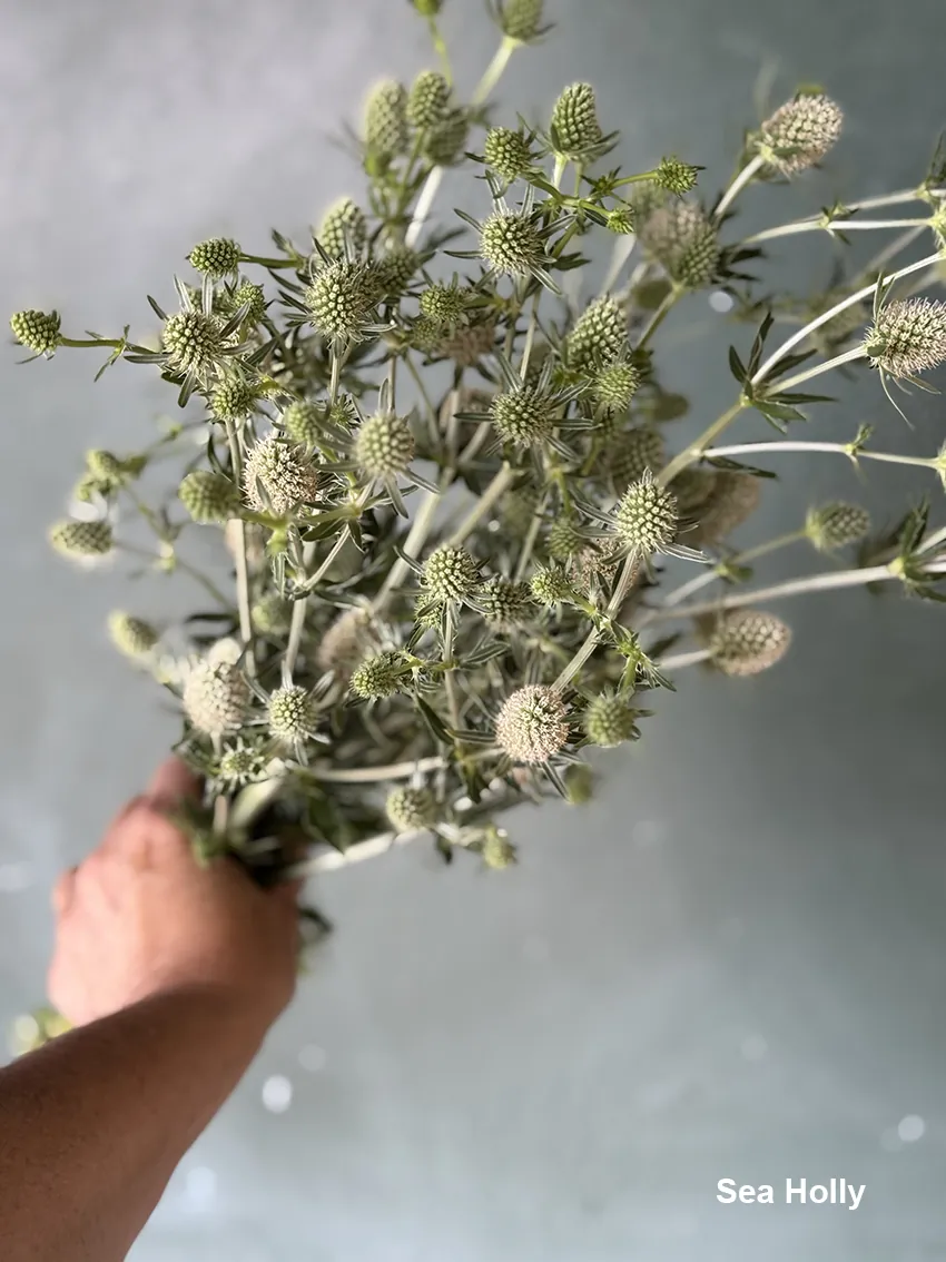 DIY drying bucket - Image 9