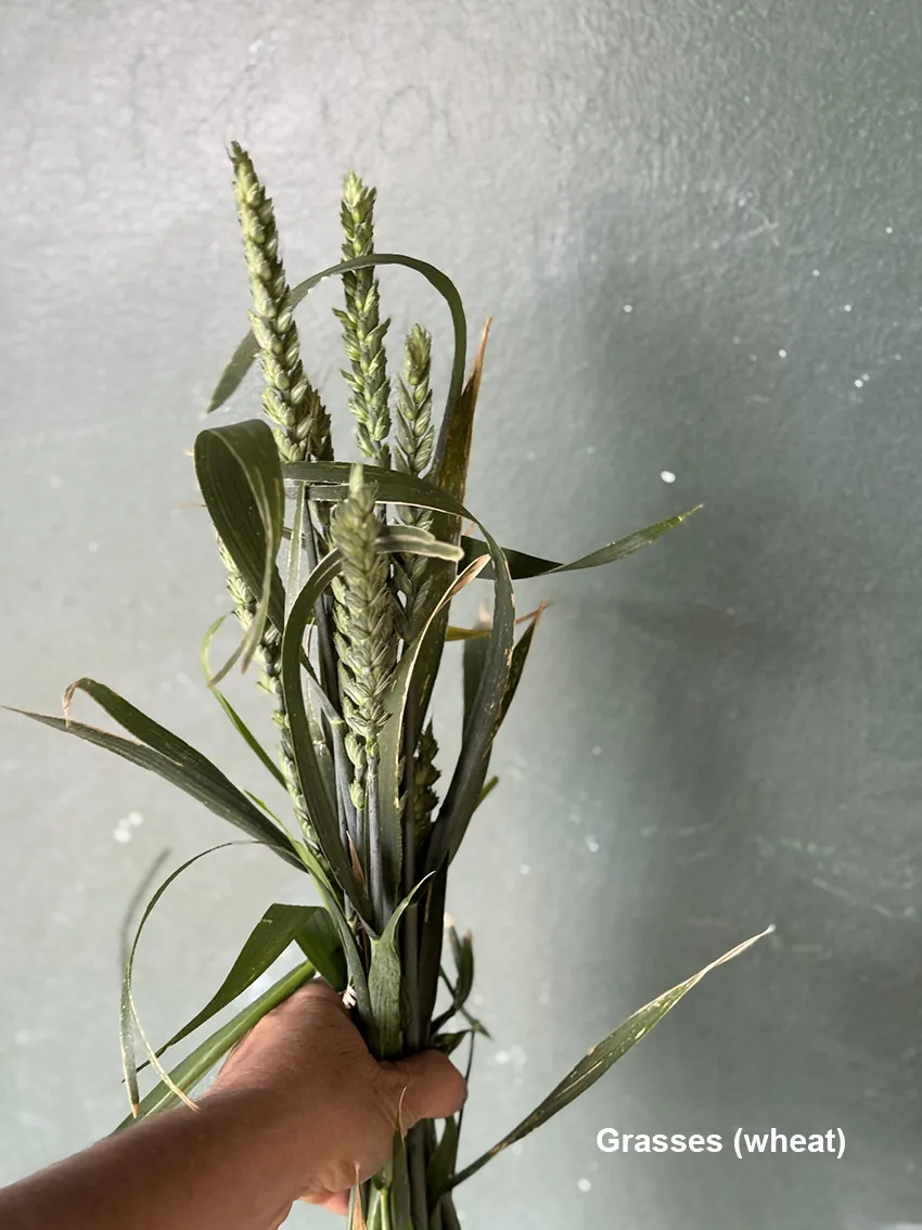 DIY drying bucket - Image 6