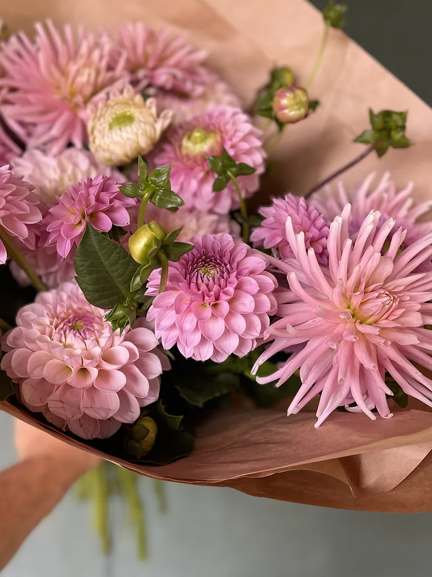 Dahlias - bunches + subscriptions (4x deliveries) - Image 2