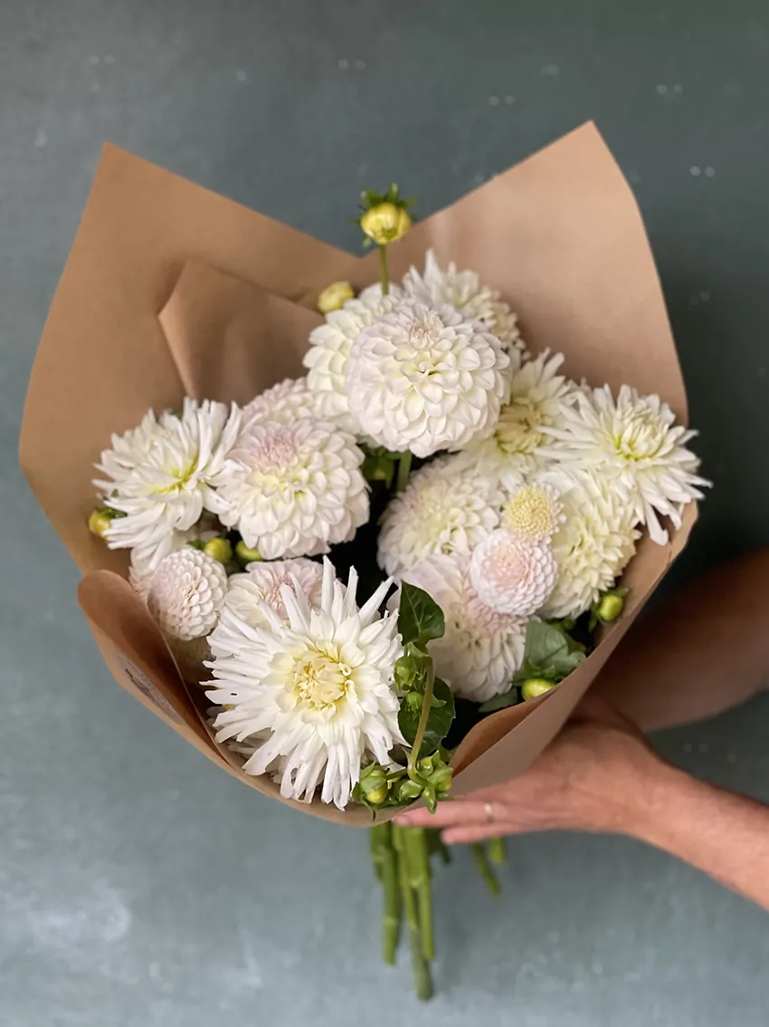 Dahlias - bunches + subscriptions (4x deliveries) - Image 5