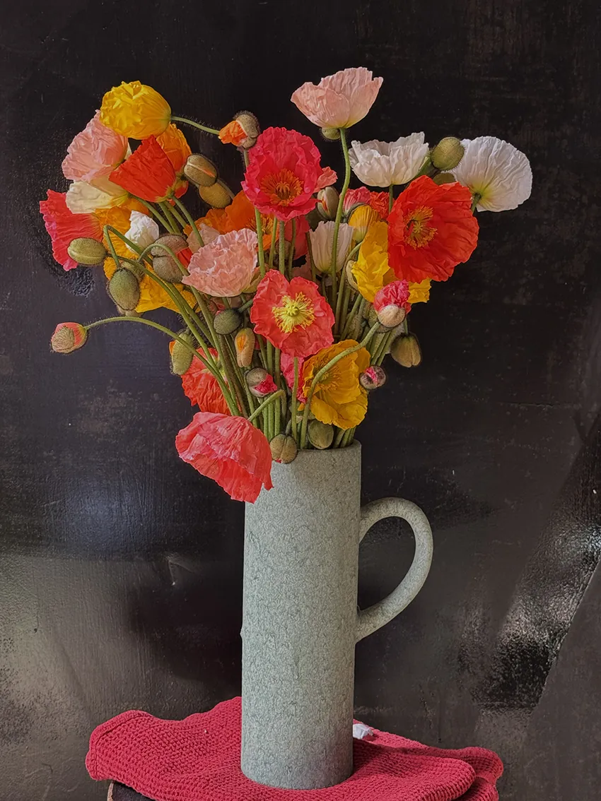 Best of the farm - gifting ideas - Image 2