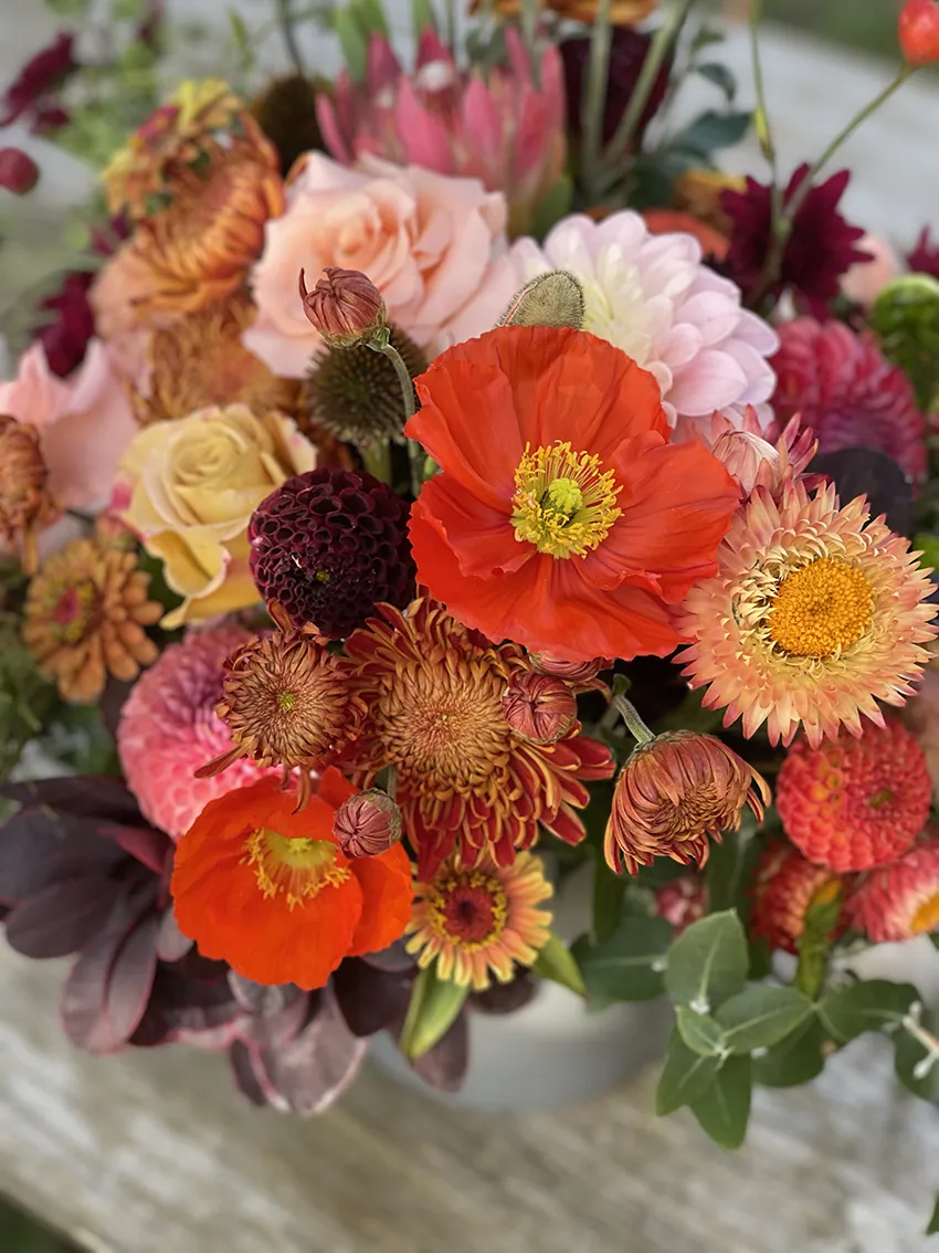 Best of the farm! - Image 2