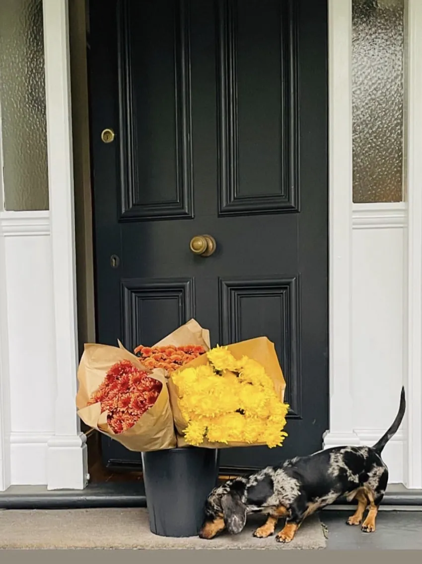 Chrysanthemum trio (3 x bunches) - Image 2