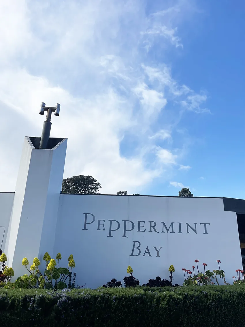 AUTUMN flower workshop at Peppermint Bay 2026 - Image 10