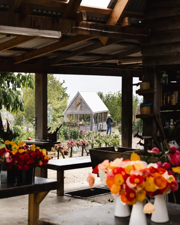 SPRING flower workshop at our flower farm 2025