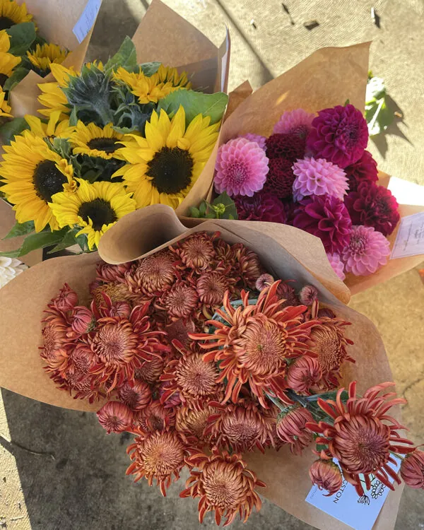 Duo/Trio of Autumn flowers (2-3x bunches)