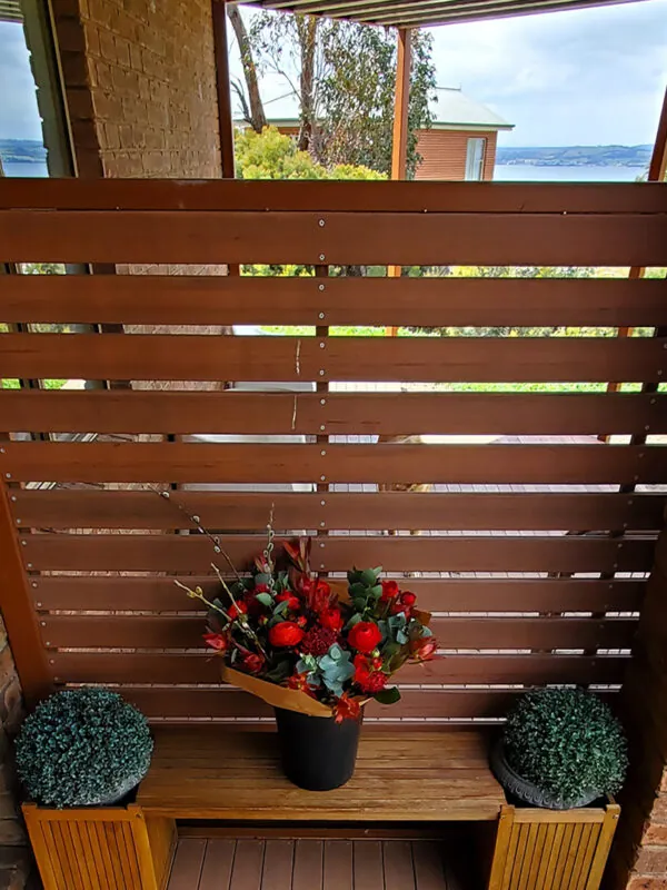 Waratah bunches - Image 6