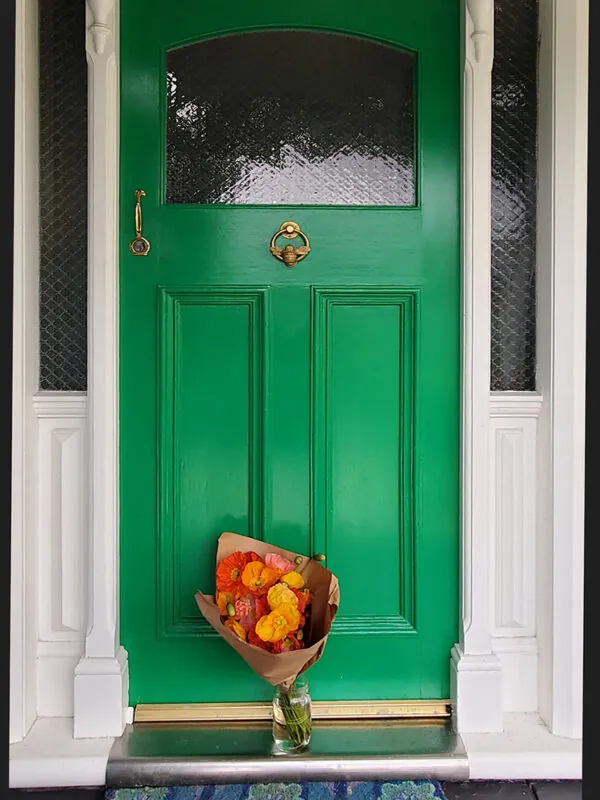 Vibrant Icelandic Poppies - Image 6