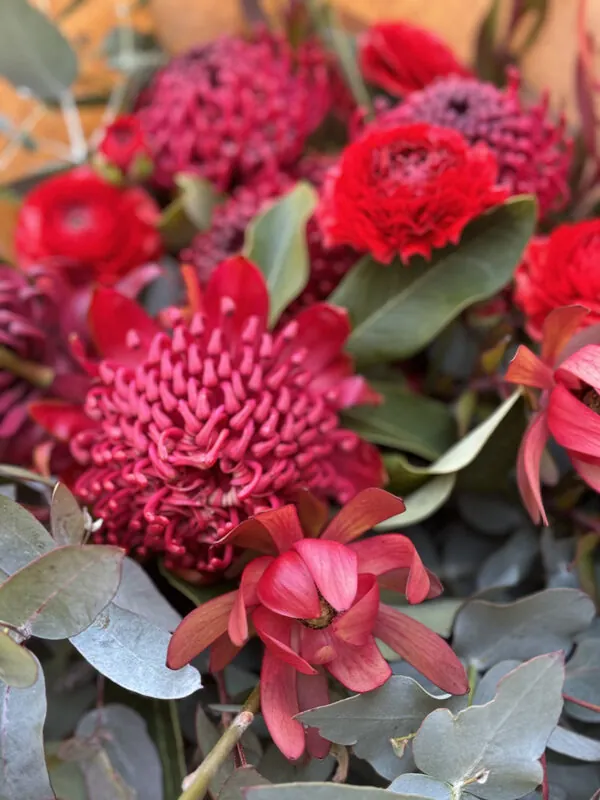Waratah bunches - Image 4