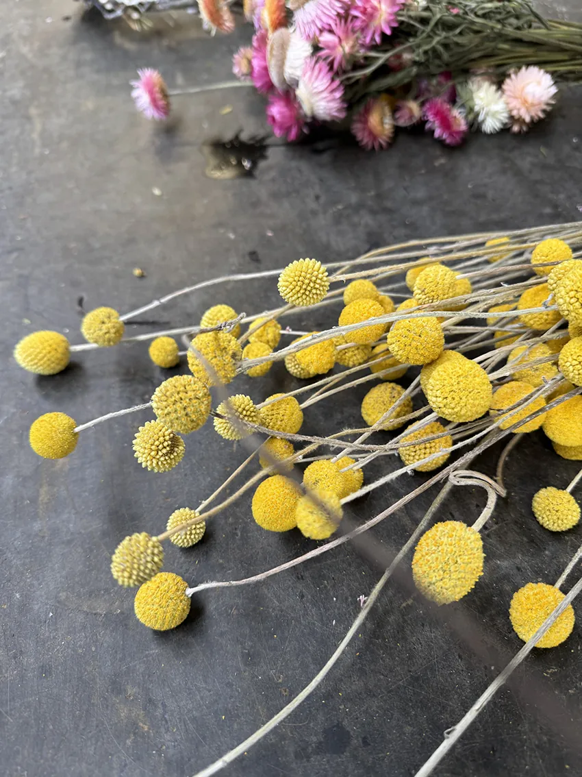 Dried flower make-it-yourself wreath kits - Image 9