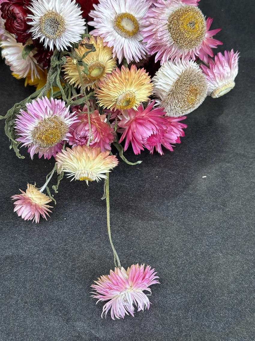 Dried flower make-it-yourself wreath kits - Image 10