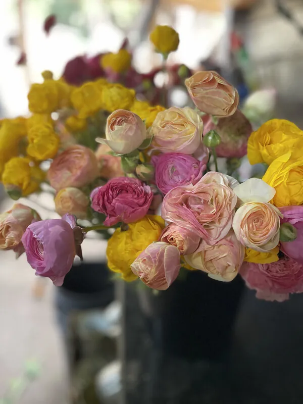Duo/Trio of Spring flowers (2-3x bunches) - Image 4