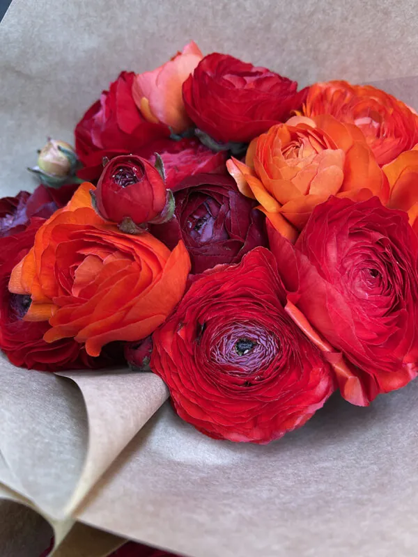 Duo/Trio of Spring flowers (2-3x bunches) - Image 3