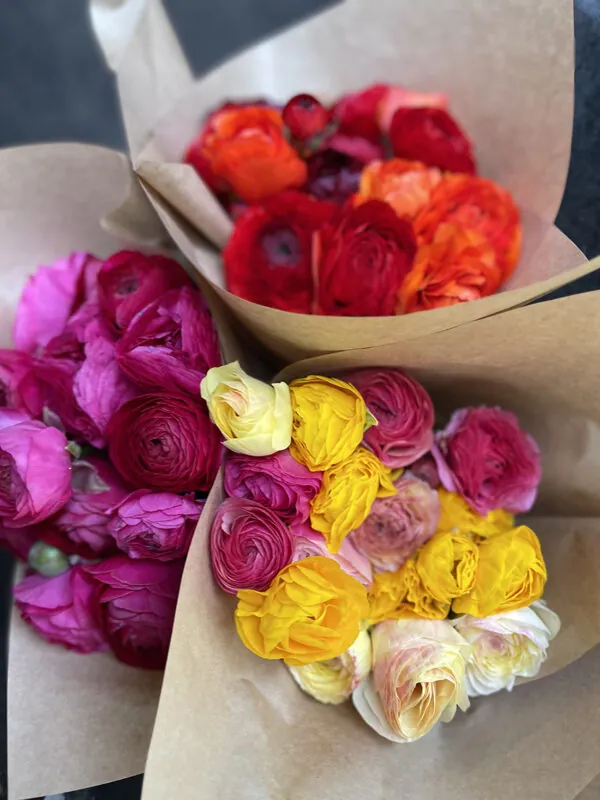 Duo/Trio of Spring flowers (2-3x bunches) - Image 6