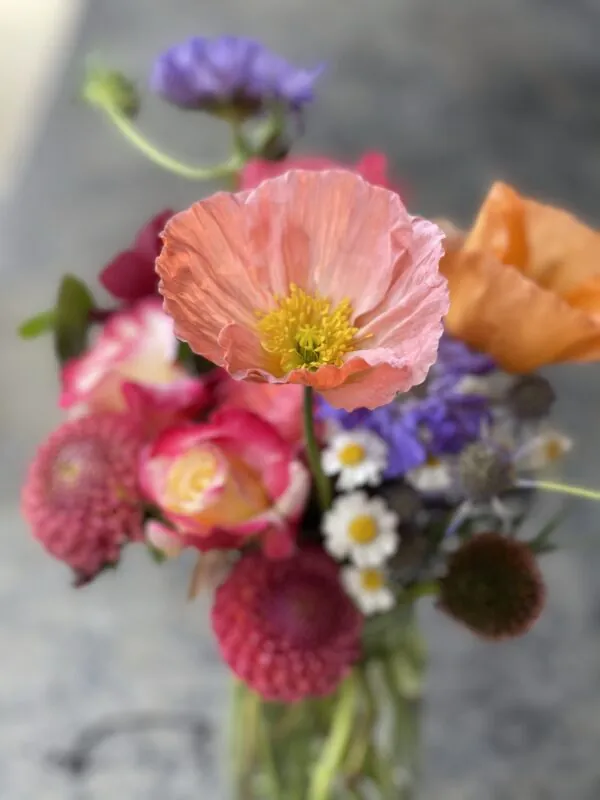 Mini Spring collection (x3 posies) - Image 4