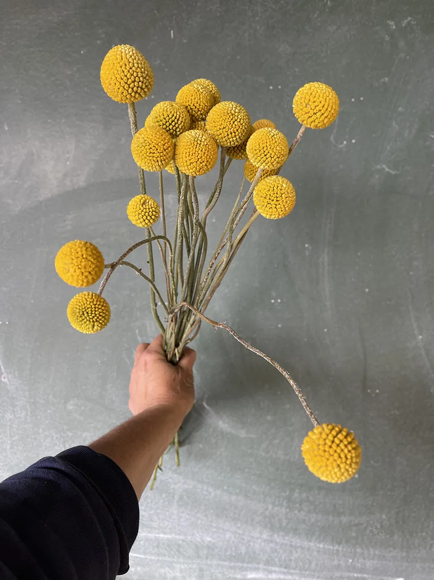 Duo/Trio of Summer flowers (2-3x bunches) - Image 6