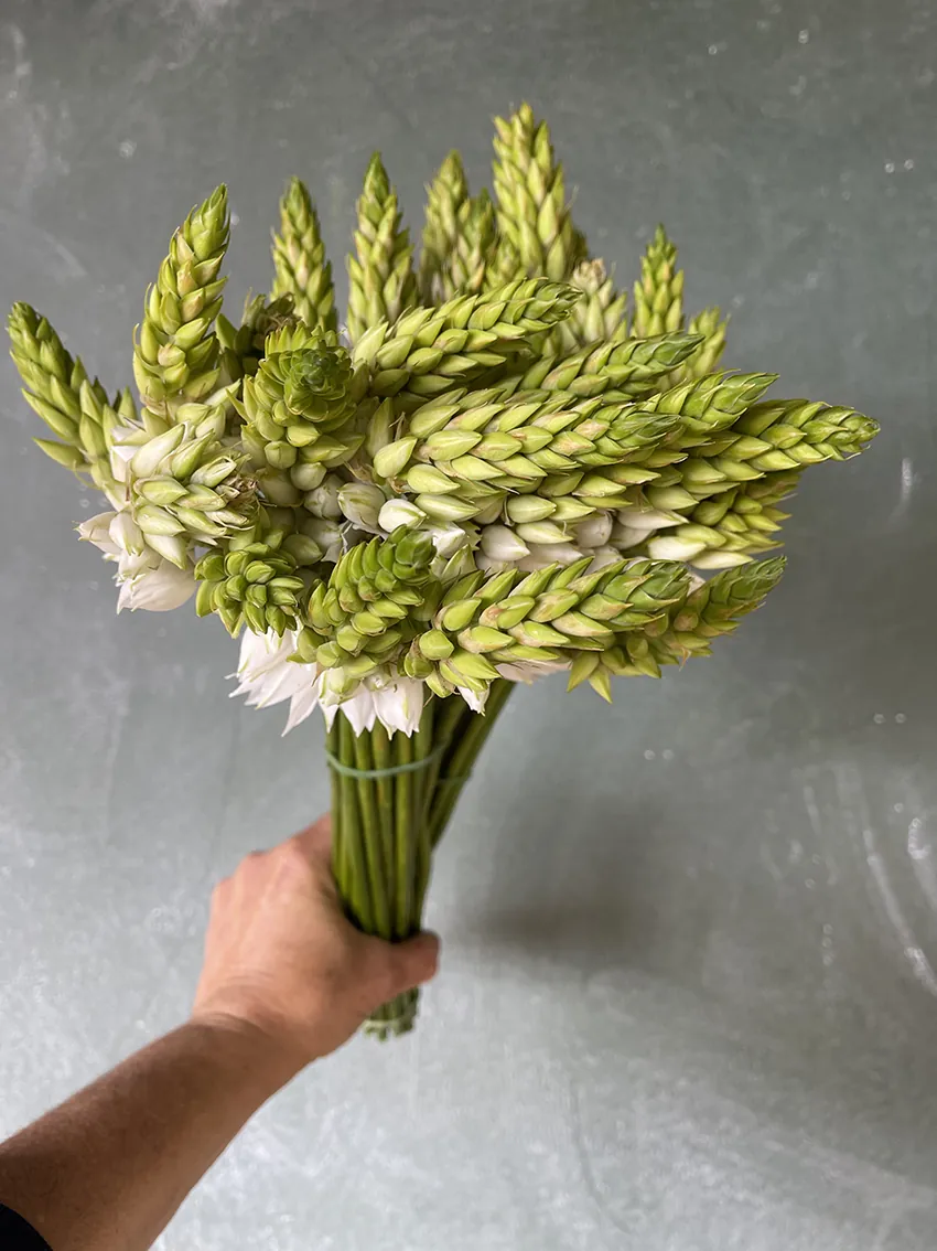 Duo/Trio of Summer flowers (2-3x bunches) - Image 8