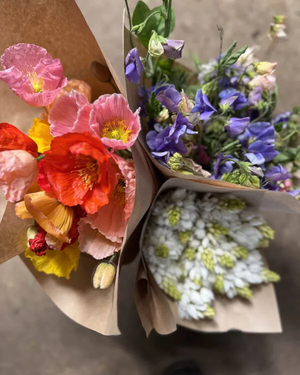 Duo/Trio of Summer flowers (2-3x bunches)