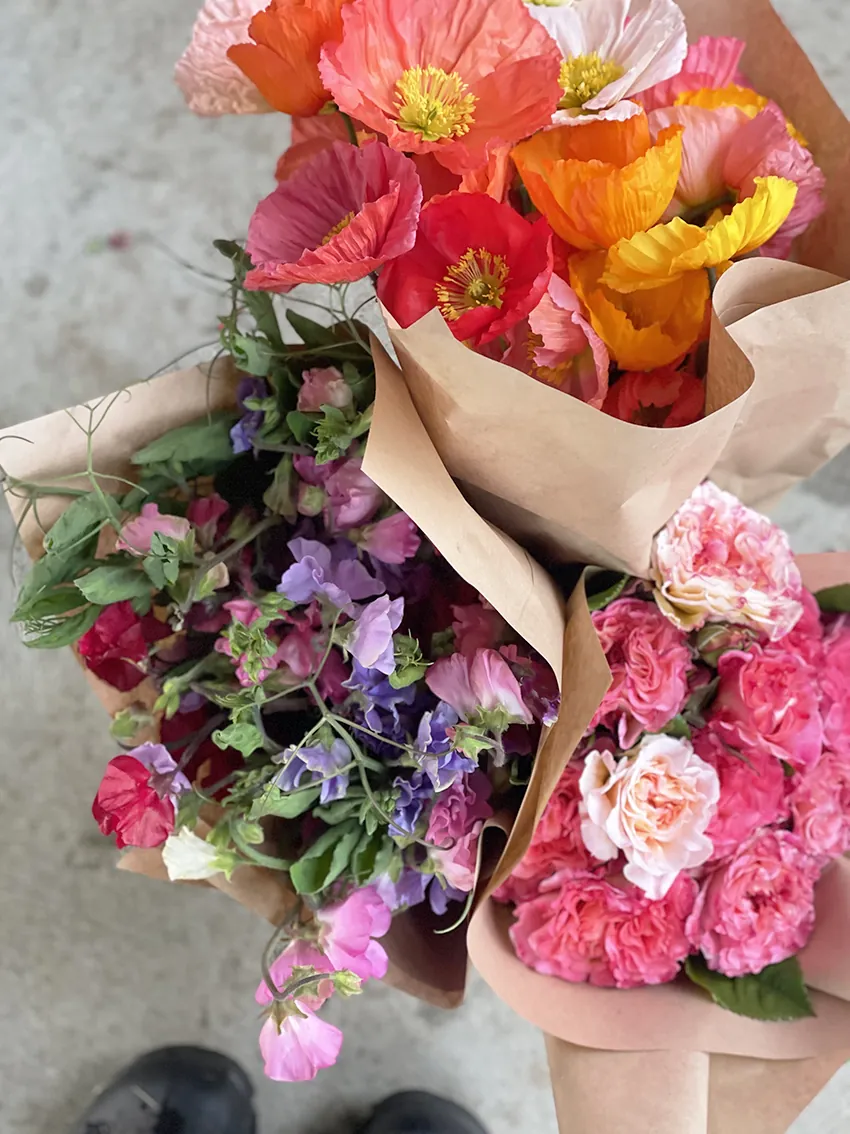 Duo/Trio of Summer flowers (2-3x bunches) - Image 5
